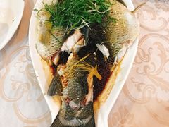 清蒸鲩鱼-旭璟酒家·传统粤菜·湘菜(逸景路店)
