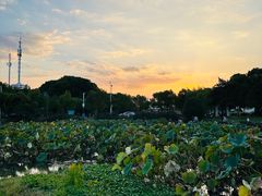 -美兰湖景区