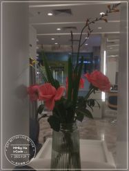 -MMby HairCode 芭曲发型概念店