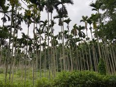 -红色娘子军纪念园