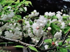 -白塘生态植物园