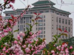 -武汉大学-樱园