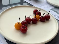 -小大董·烤鸭(观景餐厅·南京西路店)