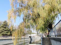 -元大都城垣遗址公园