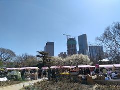 -睦南公园