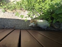 -潭柘厚院&山顶烤肉(潭柘寺店)