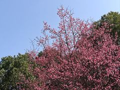 -天鹅湖体育公园