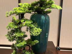 -粤江春·早茶·潮粤菜·宴会(罗湖宝能中心店)