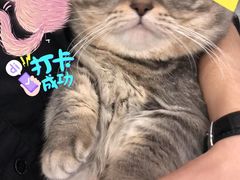 -瑞鹏宠物医院华南总院·夜诊·心脏科·骨科