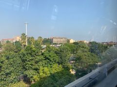 -八婆婆烧仙草(曾厝垵店)