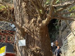 -大慈岩风景区