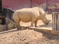 -泉州海丝野生动物世界