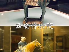 -陕西历史博物馆