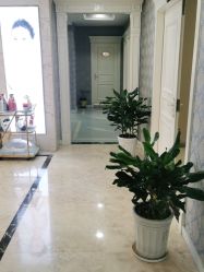 -西安现代妇产医院医疗美容