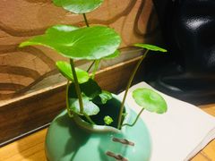 -顺承小院儿