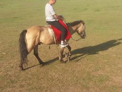 -塞罕坝国家级自然保护区