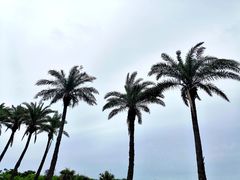 -白沙湾海滩