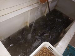 -黑龙滩生态鱼火锅(百寿路店)