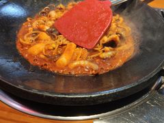 八爪鱼微辣-红辣椒八爪鱼特色韩国料理