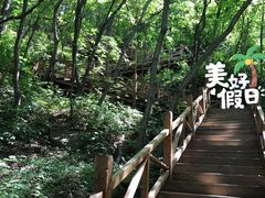 -大岭沟猕猴桃谷风景区