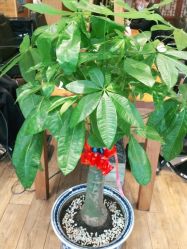 点击看大图 -爱秀造型