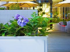 -斯普汇生蚝牛排馆(中骏世界城店)