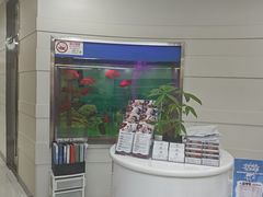 -雅悦齿科(顾村公园店)