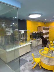 -神奇动物撸宠馆·羊驼·小浣熊·异宠(豫园店)