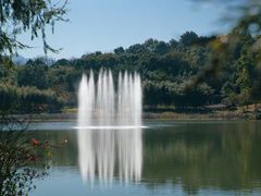 -福建鲤鱼洲酒店