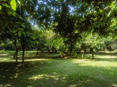 -福建鲤鱼洲酒店