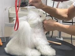 -宠颐生动物医院·小陆分院