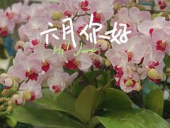 -双季花艺园艺市场(浦东店)