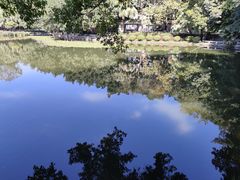 -荔湾湖公园