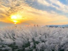 -汉中石门栈道景区