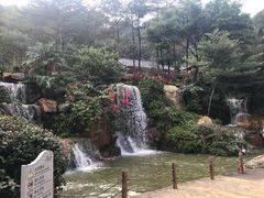-广州市帽峰山景区