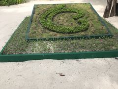 -中央格兰德岛温泉度假酒店 - 全包