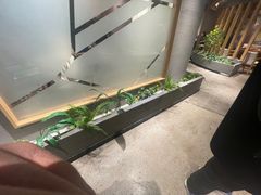 -蘸小院铁锅炖·蘸酱菜·东北菜(怀远门店)