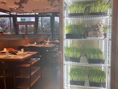 -煲宫猪肚鸡(晶品店)