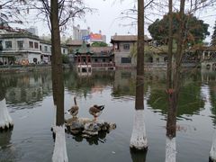 -东莞市可园博物馆