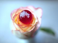 -虹御轩·传承江浙菜(虹桥店)
