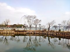 -无锡蠡湖国家湿地公园-蠡园