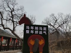 -山叶口景区