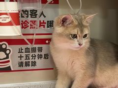 -御宝贝24h宠物医院·转诊中心·CT核磁血透中心(厦门总院)