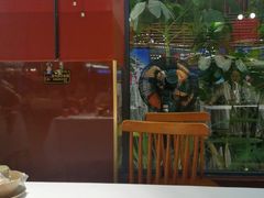 -刘姐啤酒鱼民族演艺餐厅(西街总店)