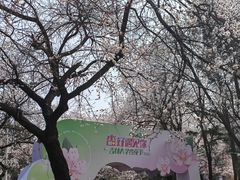 -吉林大学(南岭校区)