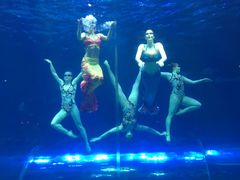 -华夏文旅海洋公园