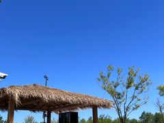 -爪吧宠物乐园·宠物泳池(温榆河示范区店)