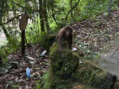 -西岭雪山大飞水景区