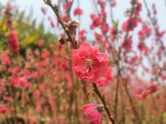 -白水带风景区体育公园
