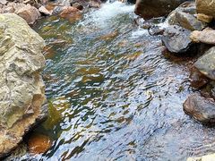 -北仑森林植物园